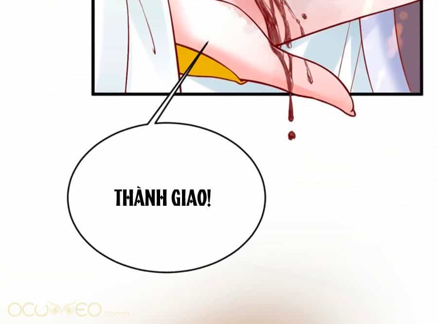 Thịnh Thế Lê Hoa Điện - Chương 9 - ảnh 20