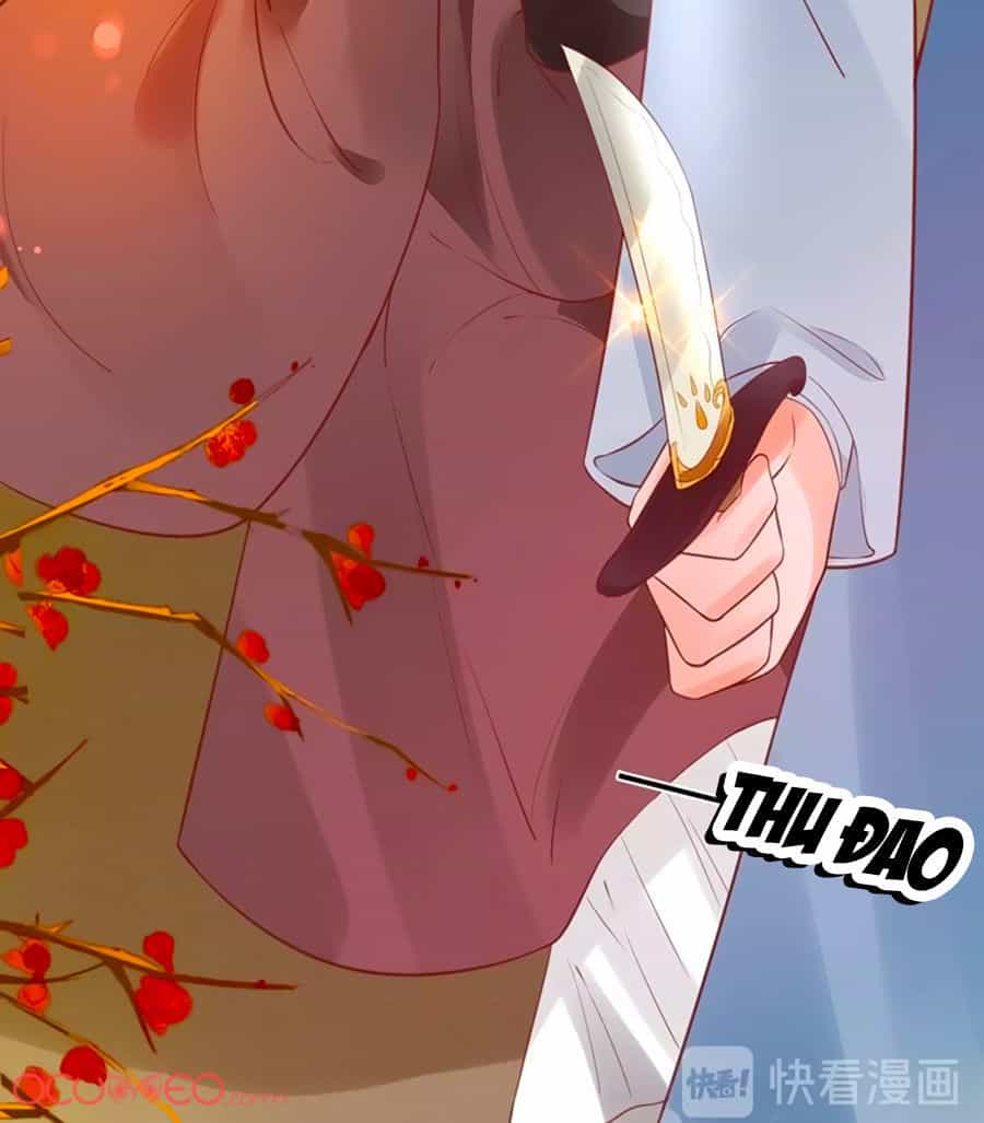Thịnh Thế Lê Hoa Điện - Chương 20 - ảnh 16