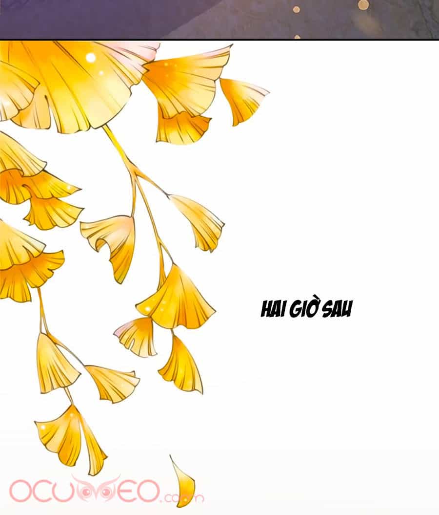 Thịnh Thế Lê Hoa Điện - Chương 31 - ảnh 4