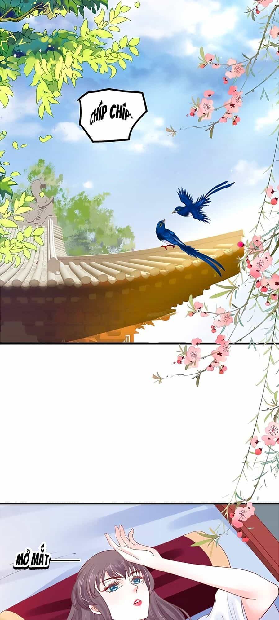 Thịnh Thế Lê Hoa Điện - Chương 49 - ảnh 2