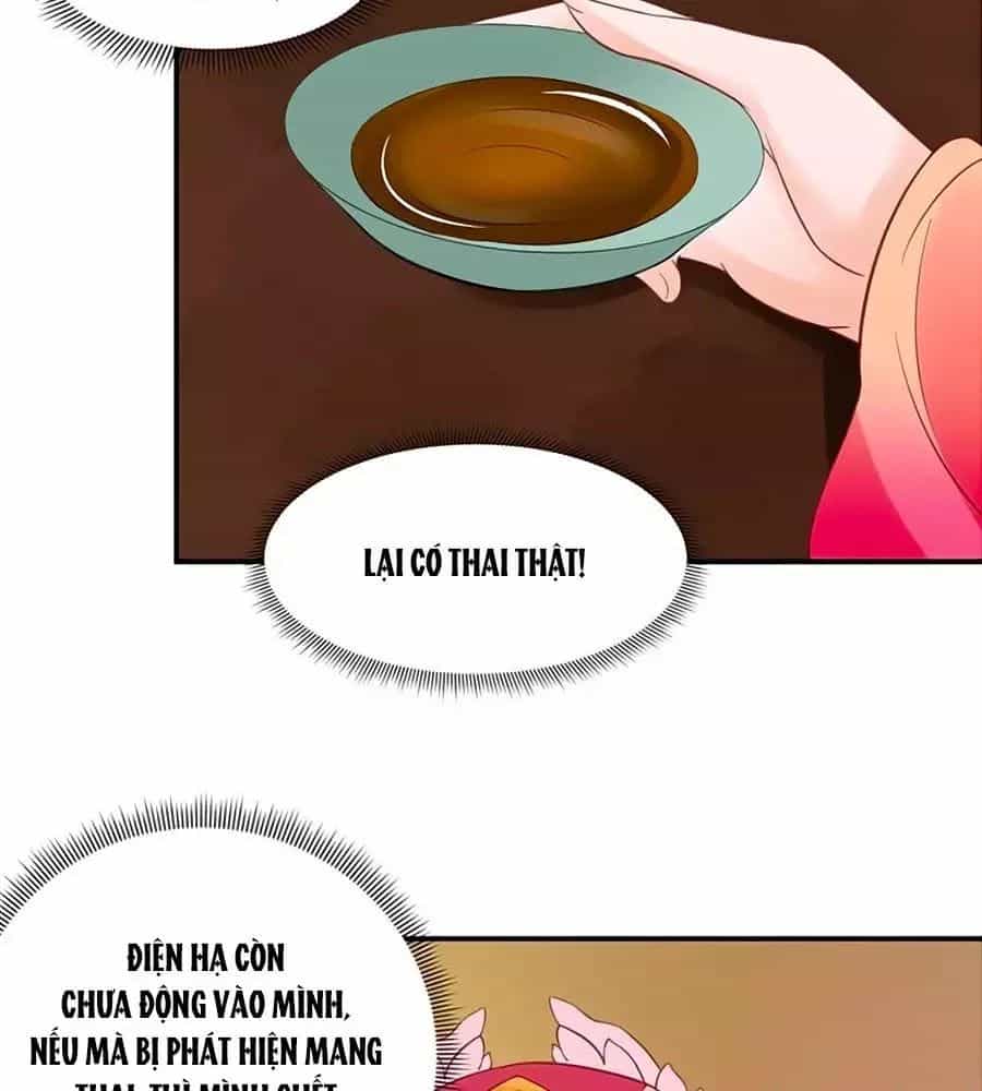 Thịnh Thế Lê Hoa Điện - Chương 67 - ảnh 17