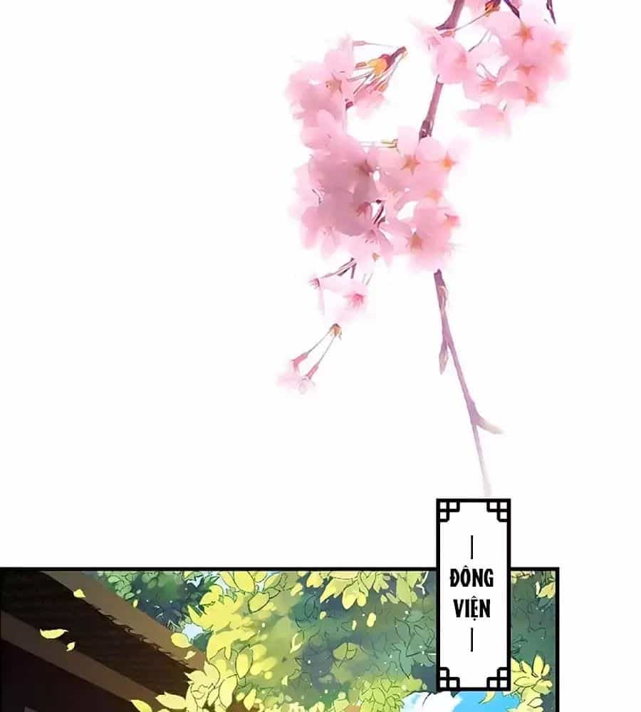Thịnh Thế Lê Hoa Điện - Chương 67 - ảnh 2