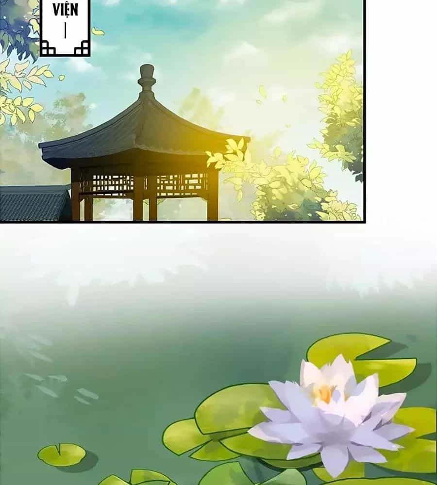 Thịnh Thế Lê Hoa Điện - Chương 76 - ảnh 41