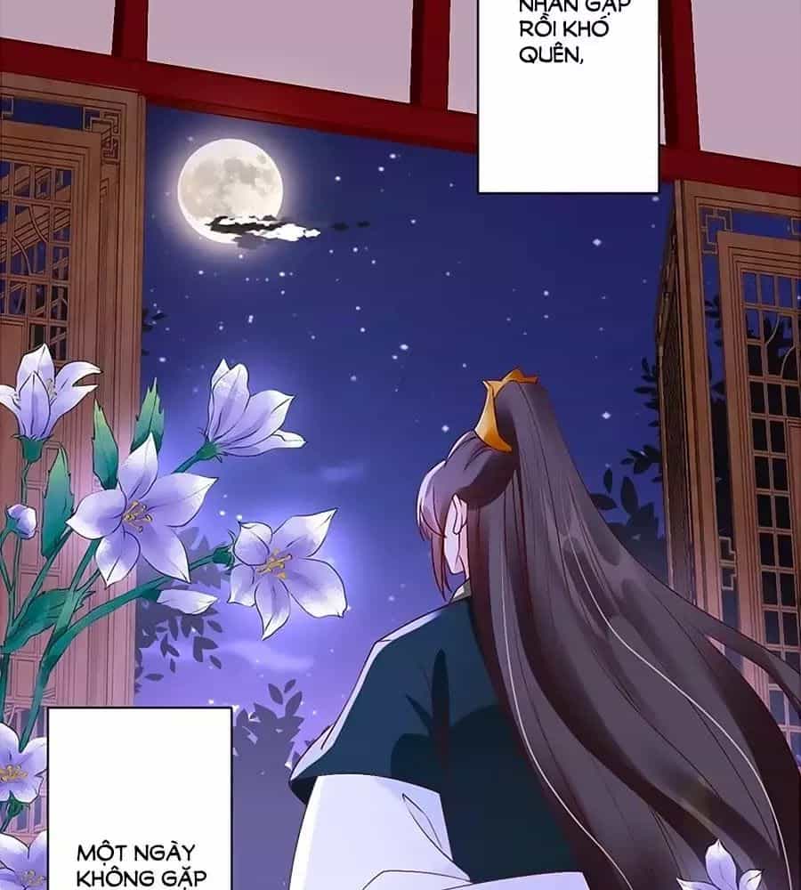 Thịnh Thế Lê Hoa Điện - Chương 77 - ảnh 48