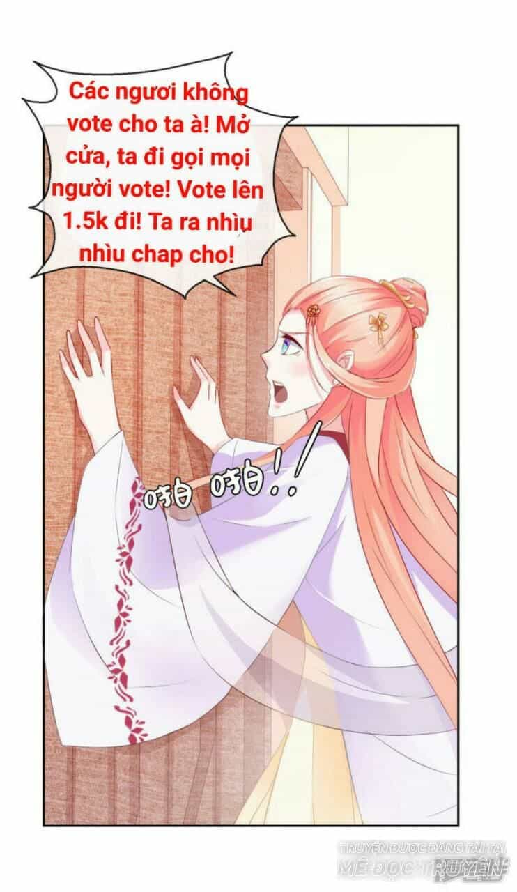 Thịnh Thế Vô Cấu - Chương 12 - ảnh 1