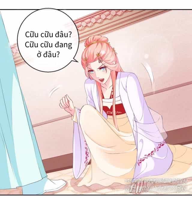 Thịnh Thế Vô Cấu - Chương 13 - ảnh 1
