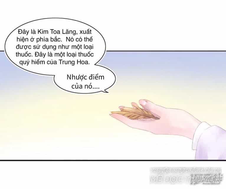Thịnh Thế Vô Cấu - Chương 6 - ảnh 21