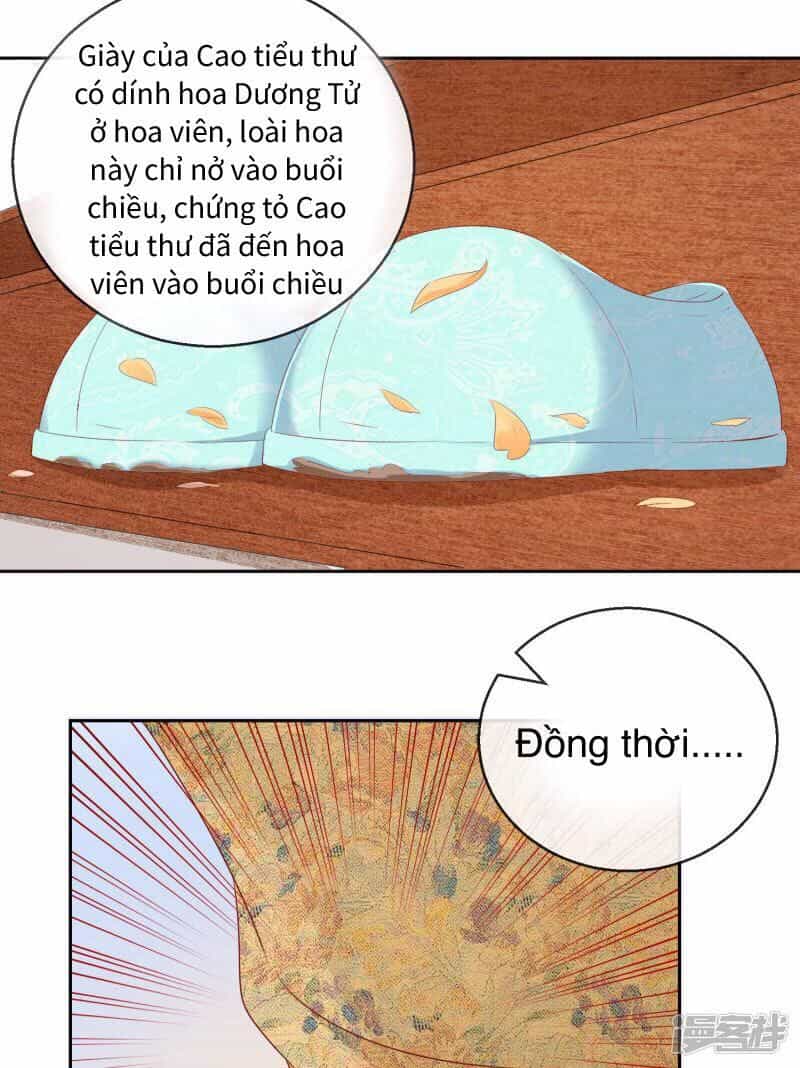 Thịnh Thế Vô Cấu - Chương 8 - ảnh 15