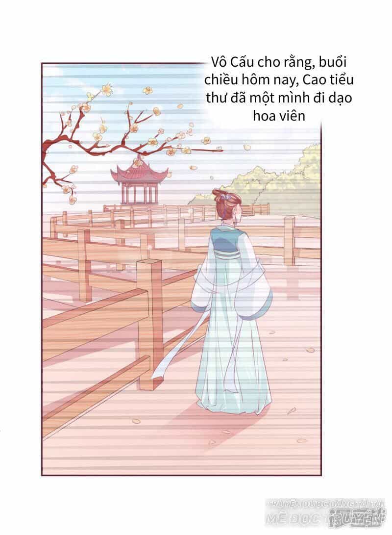 Thịnh Thế Vô Cấu - Chương 8 - ảnh 6