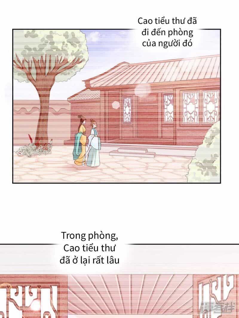 Thịnh Thế Vô Cấu - Chương 8 - ảnh 8