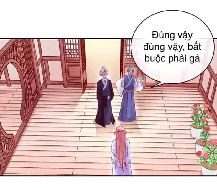 Thịnh Thế Vô Cấu - Chương 11 - ảnh 11