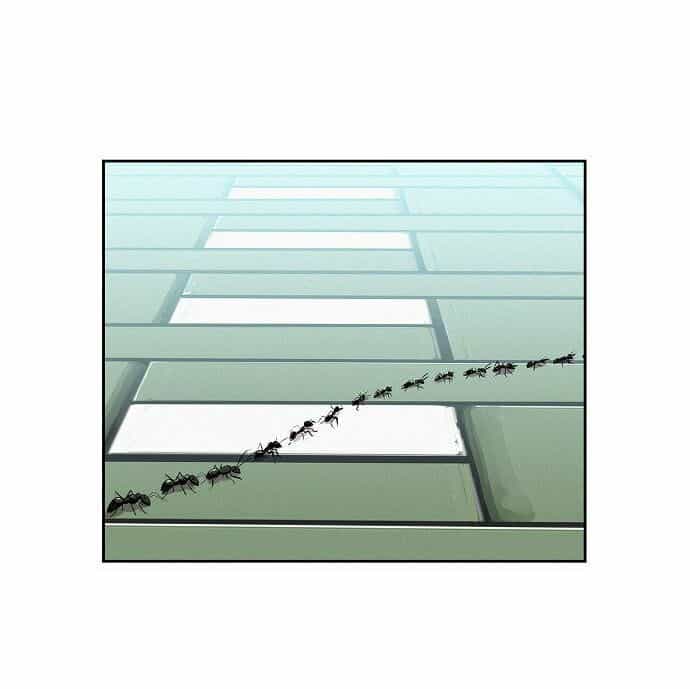 Thợ Săn 3 Cm - Chương 1 - ảnh 9