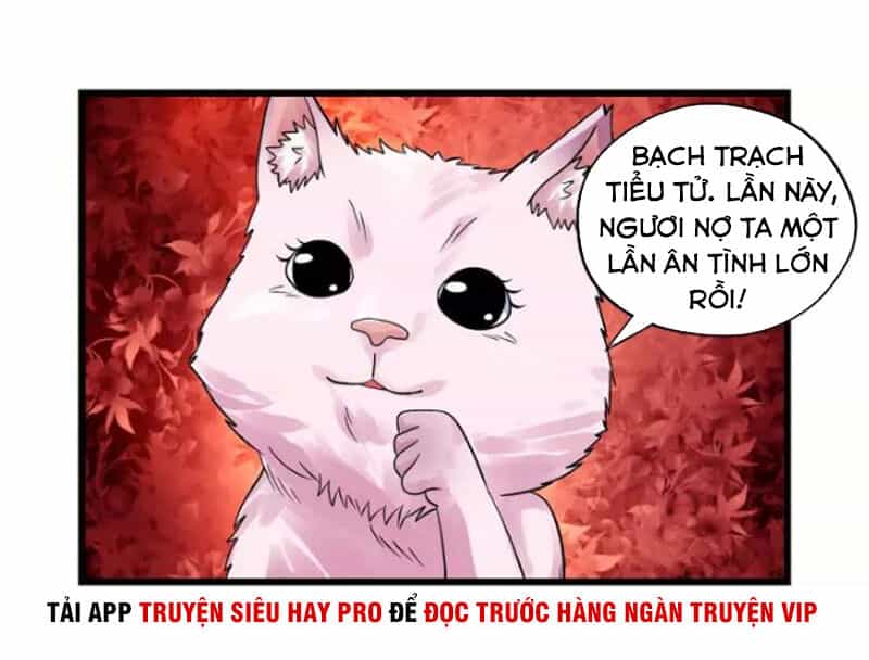 Thôn Phệ Lĩnh Vực - Chương 132 - ảnh 41