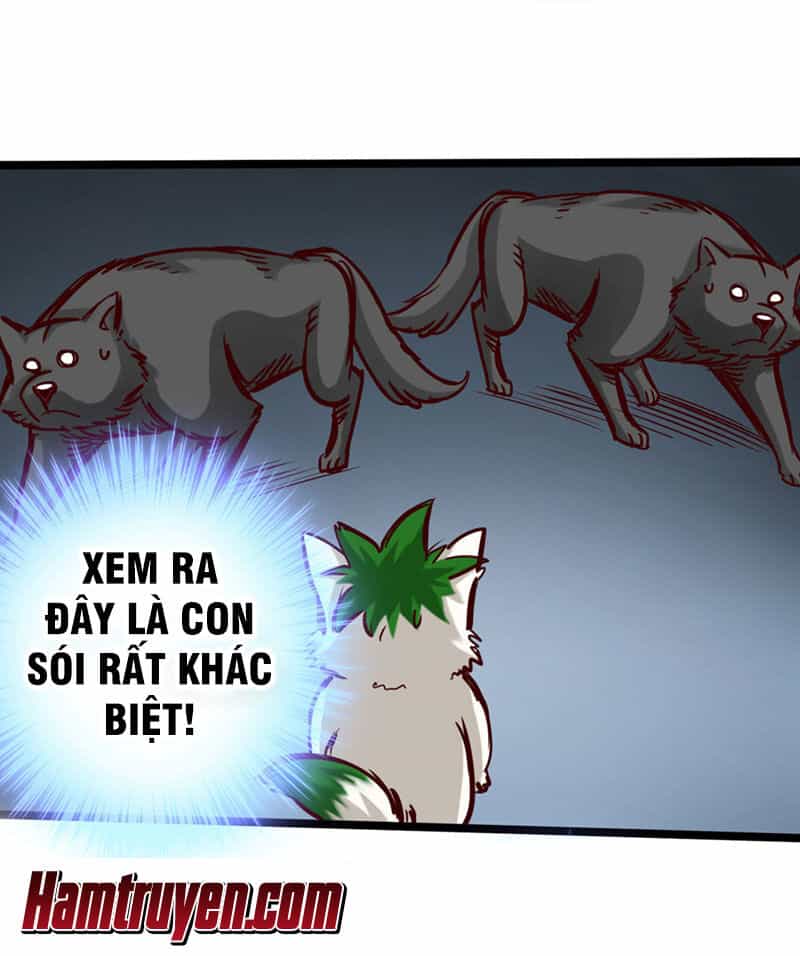 Thông Thiên Chi Lộ - Chương 14 - ảnh 35