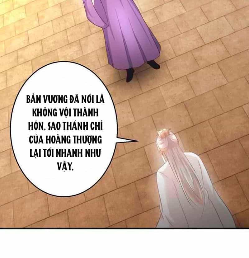 Thuần Phi Ký - Chương 37 - ảnh 15
