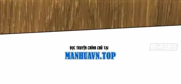Thương Nhân Buôn Lậu Thời Mạt Thế: Ta Dùng Que Cay Đổi Vàng Thỏi - Chương 26 - ảnh 116
