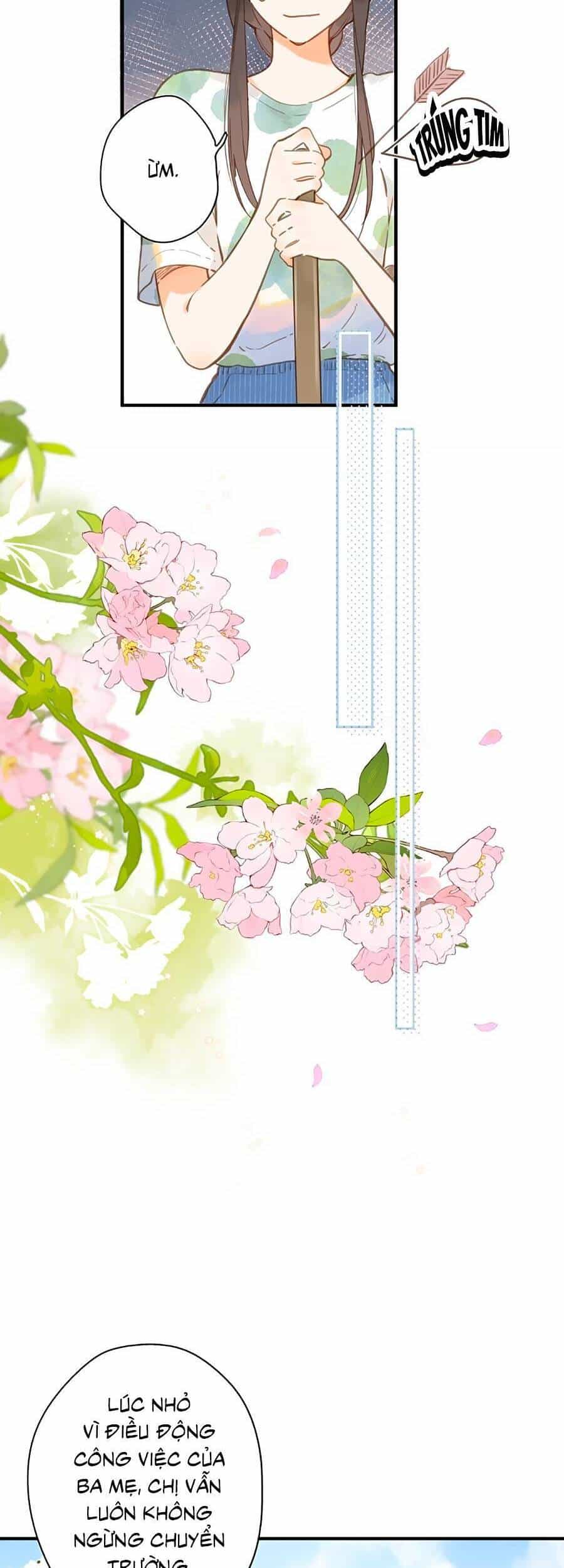 Tiệm Hoa Hướng Dương Góc Phố - Chương 13 - ảnh 18