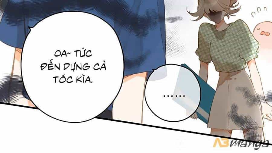 Tiệm Hoa Hướng Dương Góc Phố - Chương 15 - ảnh 5