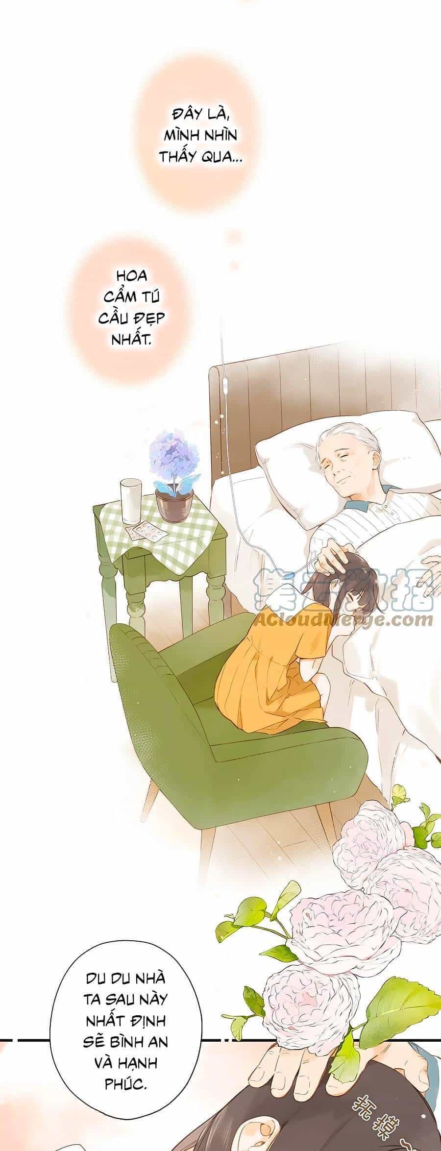 Tiệm Hoa Hướng Dương Góc Phố - Chương 46 - ảnh 21