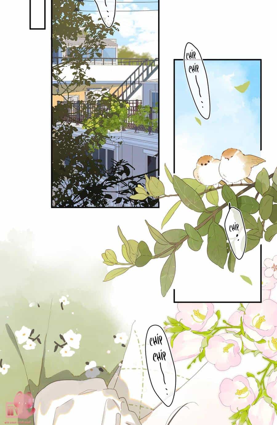 Tiệm Hoa Hướng Dương Góc Phố - Chương 72 - ảnh 4