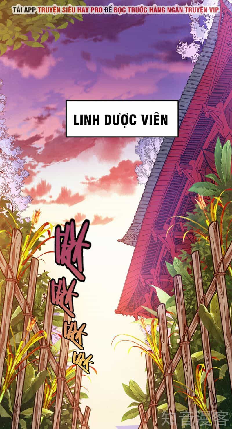 Tiên Đế Trở Về - Chương 31 - ảnh 8