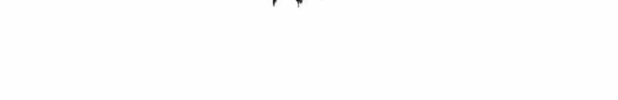 Tiên Võ Đế Tôn - Chương 348 - ảnh 10
