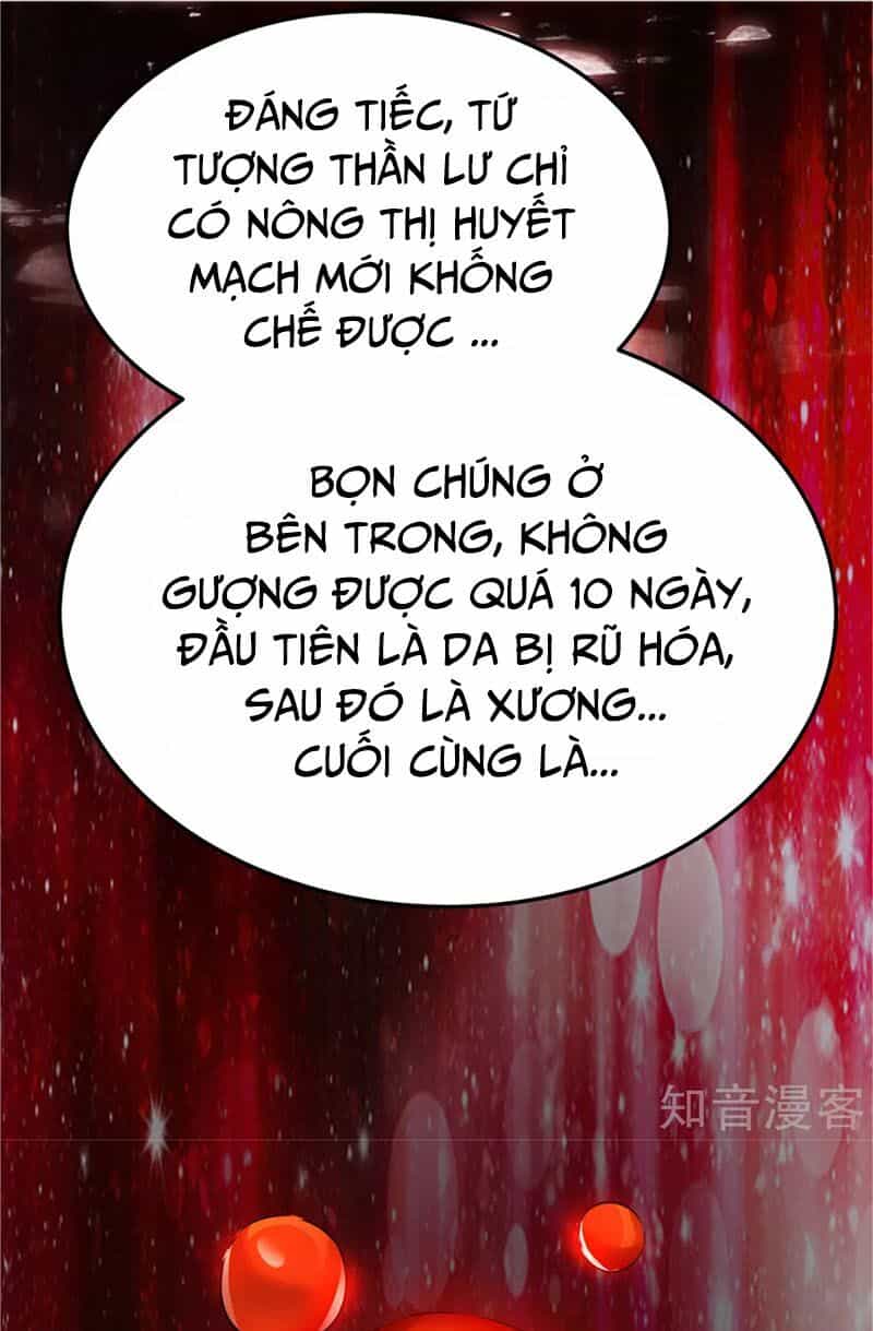 Tiên Vương Trùng Sinh - Chương 75 - ảnh 9