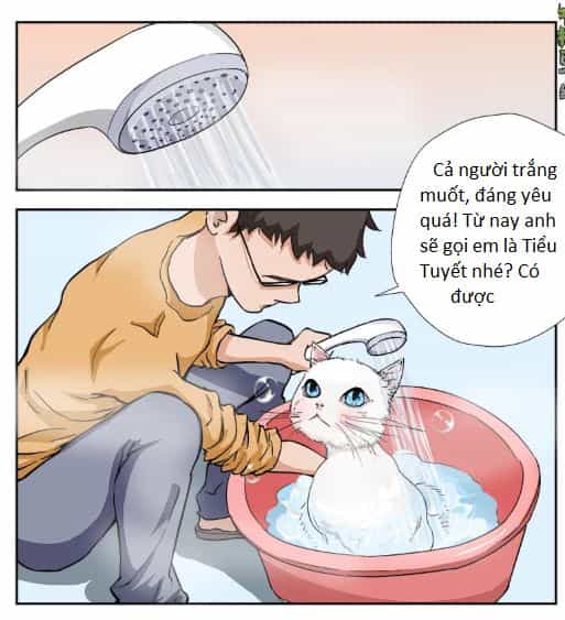 Tiết Tháo Đã Offline - Chương 9 - ảnh 5