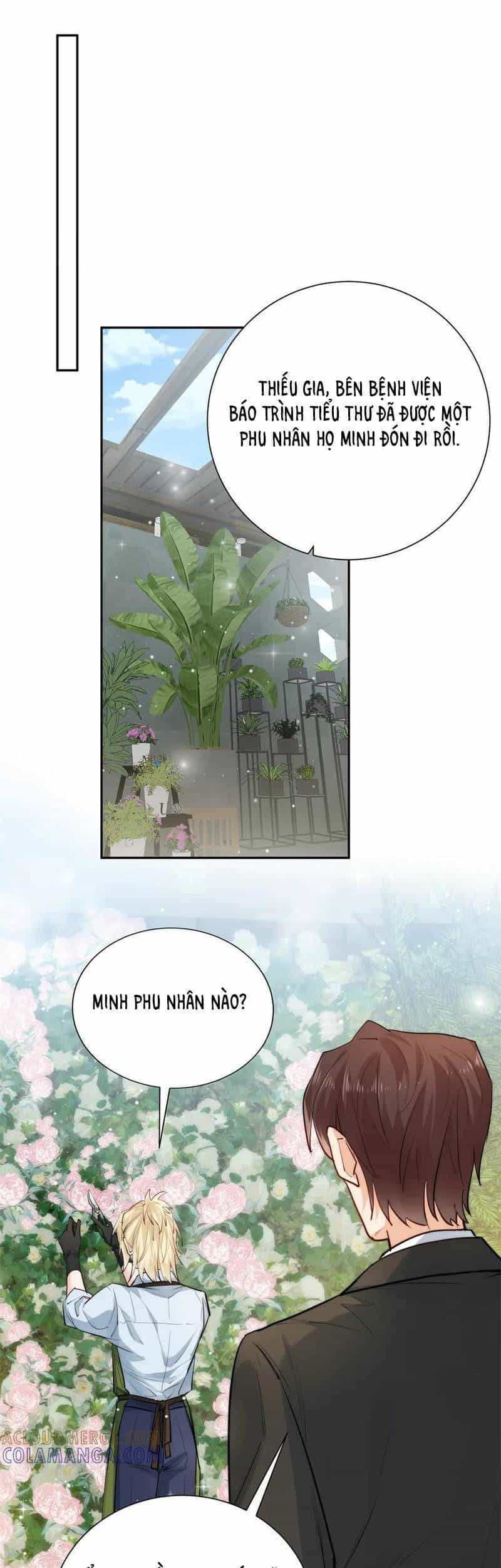 Tiểu Bảo Bối Đặc Biệt Của Tổng Tài Lạnh Lùng - Chương 60 - ảnh 9