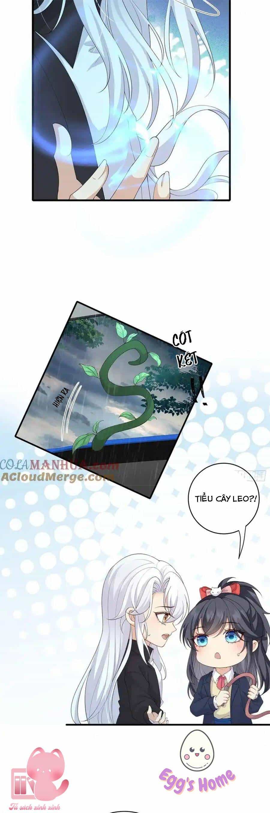 Tiểu Hồ Ly Hôm Nay Có Chút Ngoan - Chương 132 - ảnh 7