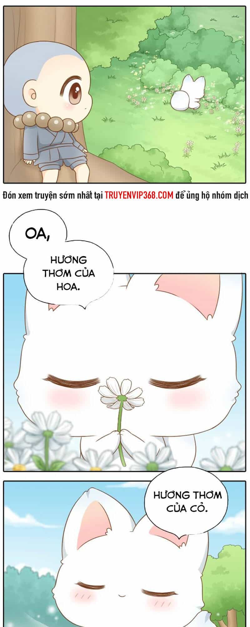 Tiểu Hoà Thượng - Chào Mừng Đến Trấn Yêu Quái - Chương 43 - ảnh 9