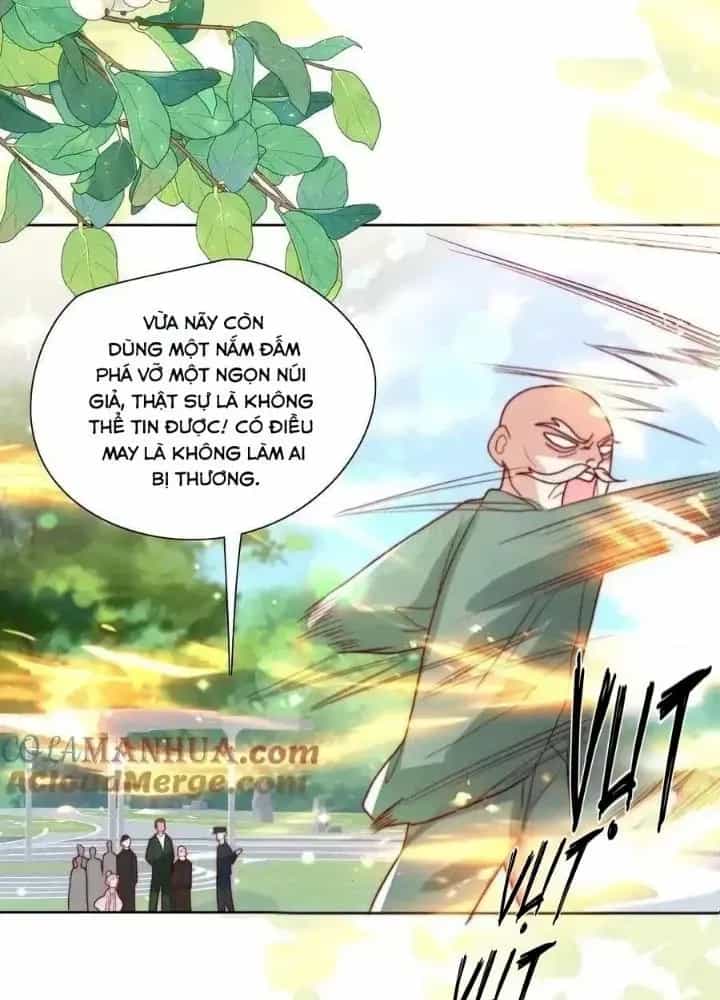 Tiểu Manh Bảo Bốn Tuổi Theo Sư Phụ Xuống Núi - Chương 316 - ảnh 25