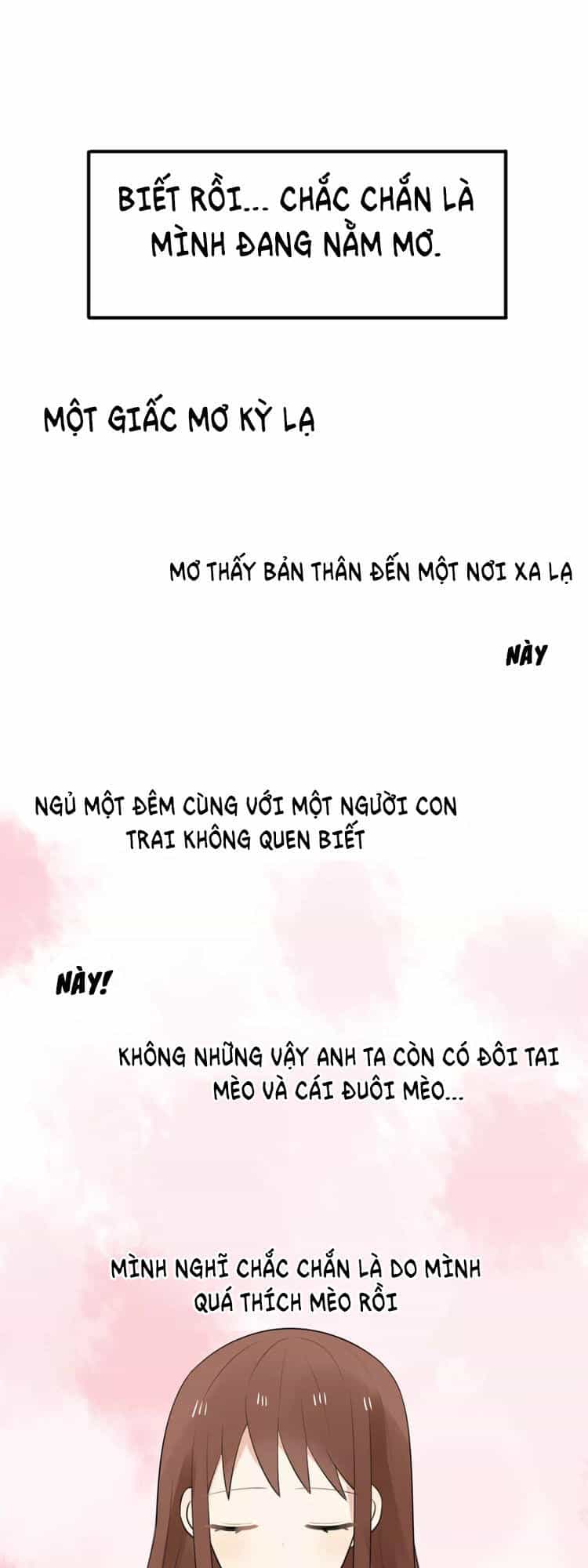 Tiểu Miêu Và Hắc Diệu Thạch - Chương 1 - ảnh 33
