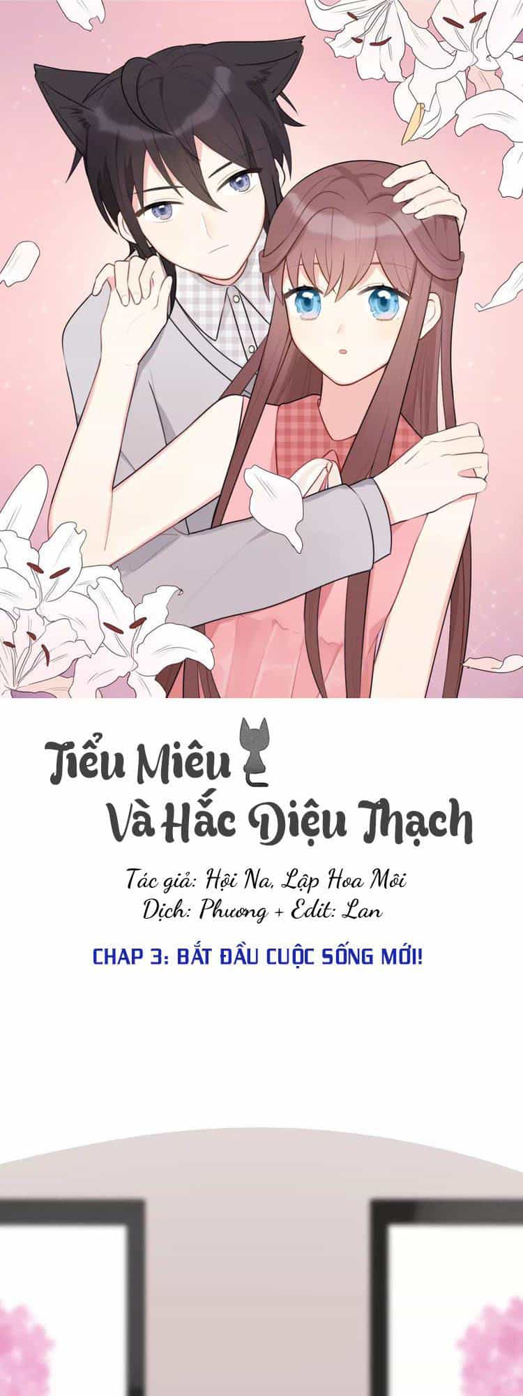 Tiểu Miêu Và Hắc Diệu Thạch - Chương 3 - ảnh 1