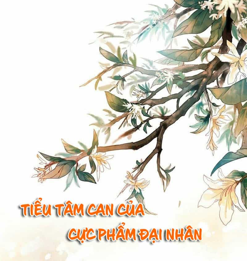 Tiểu Tâm Can Của Cực Phẩm Đại Nhân - Chương 3 - ảnh 2