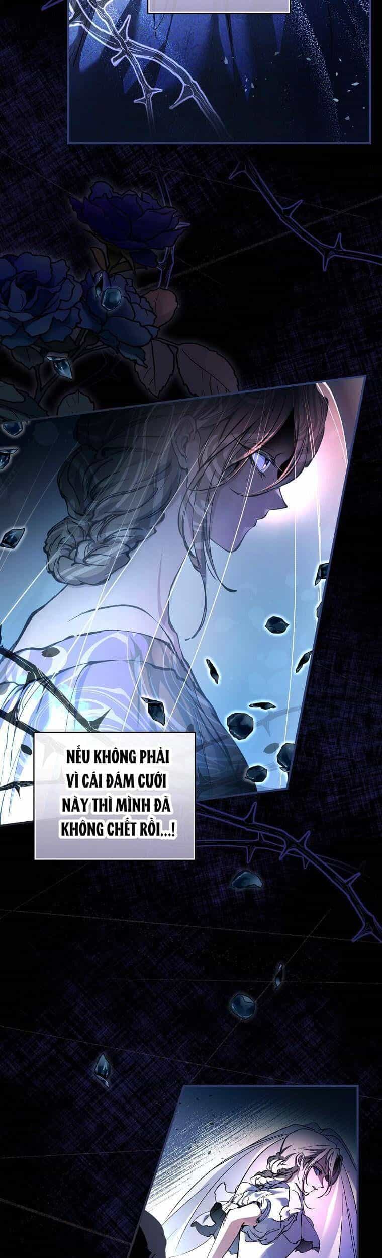Tìm Một Người Chồng Mới - Chương 1 - ảnh 25