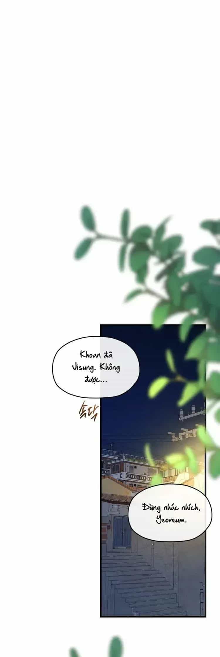 Tình Cờ Ta Gặp Nhau - Chương 70 - ảnh 12