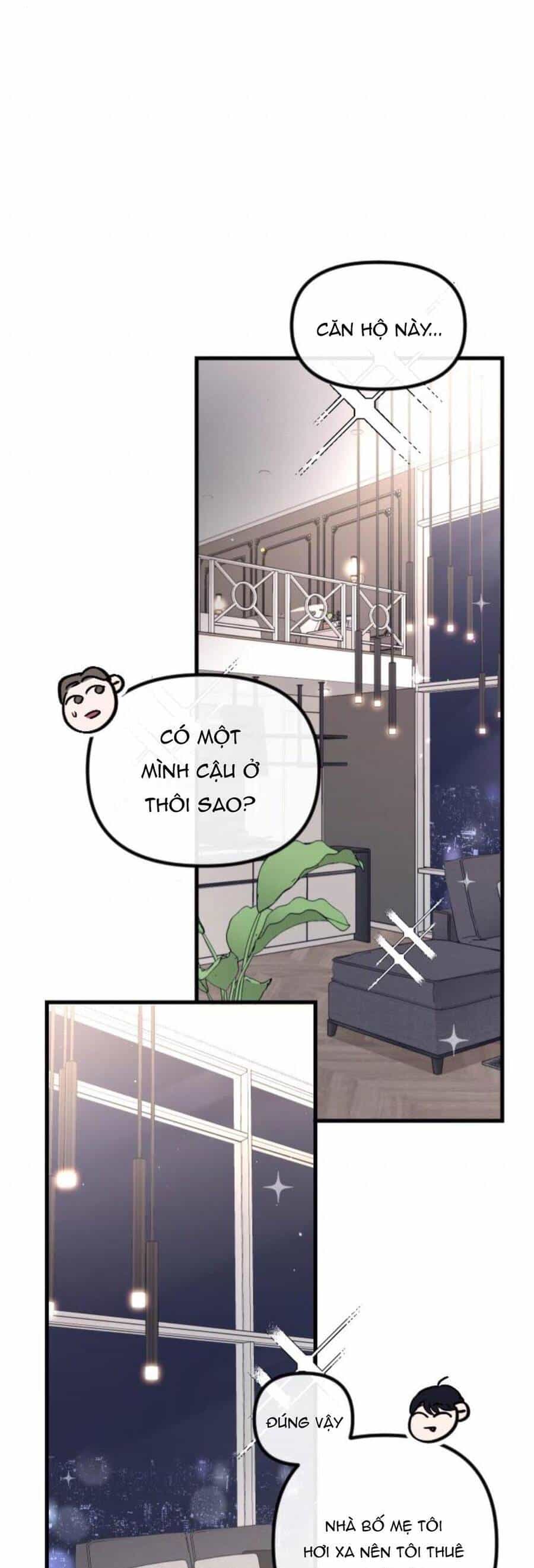 Tình Cờ Ta Gặp Nhau - Chương 8 - ảnh 14