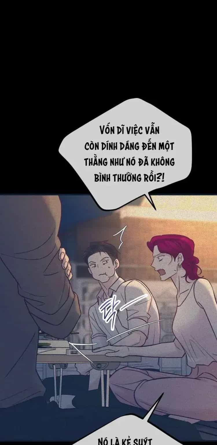 Tình Cờ Ta Gặp Nhau - Chương 81 - ảnh 47