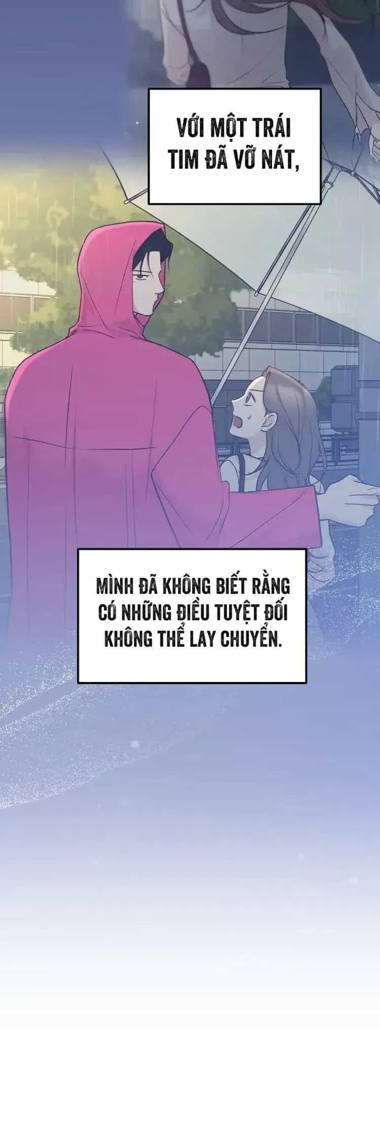 Tình Cờ Ta Gặp Nhau - Chương 99 - ảnh 12