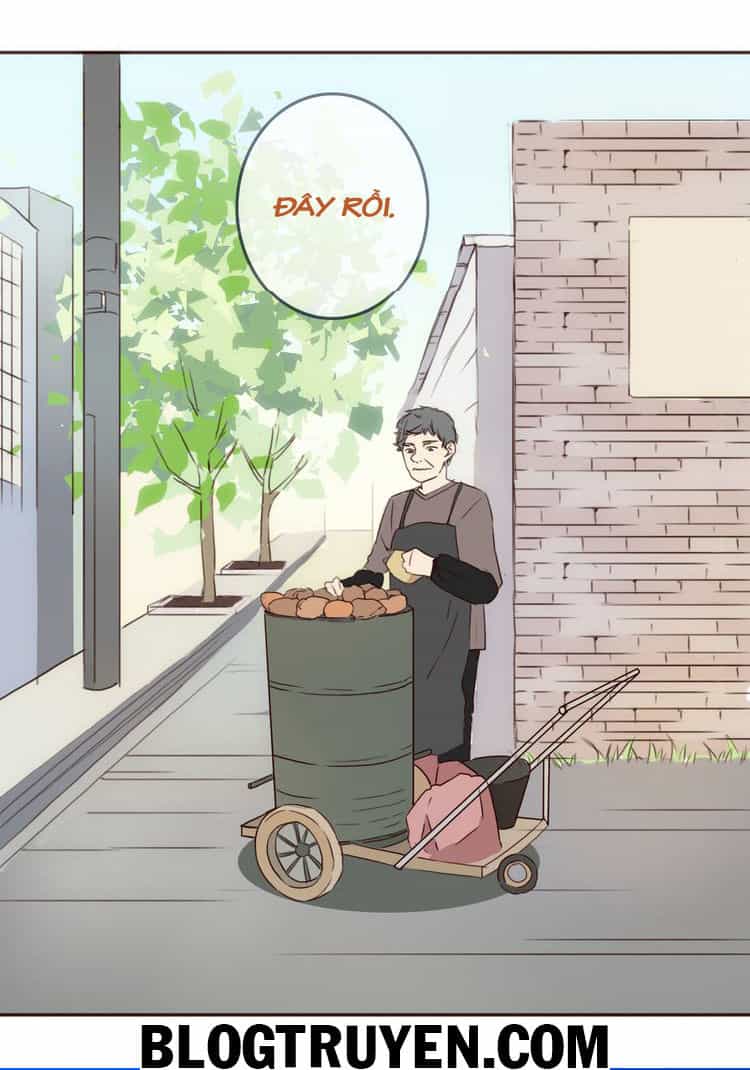 Tình Yêu Không Nói Dối - Chương 19 - ảnh 18