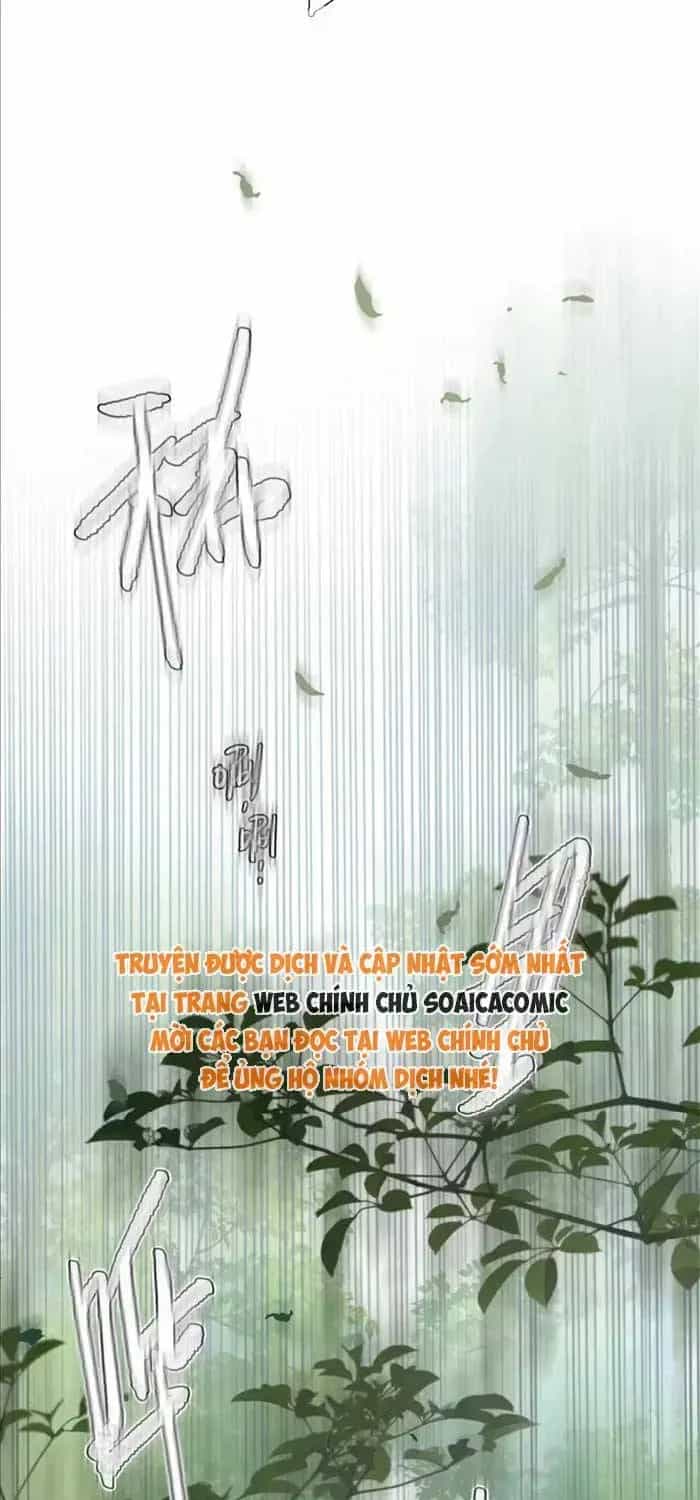 Tố Hồi Xuân Thời - Chương 67 - ảnh 54