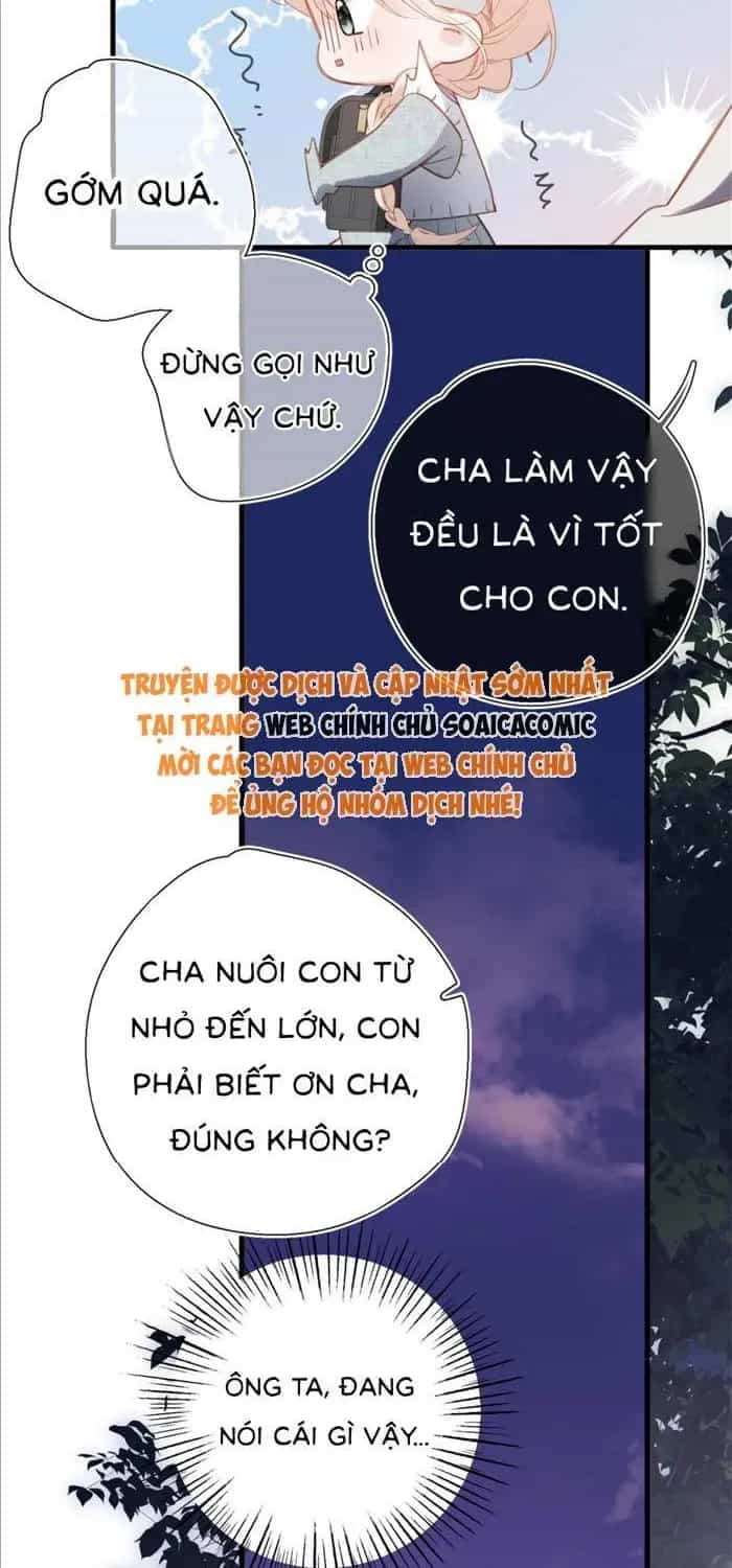 Tố Hồi Xuân Thời - Chương 73.1 - ảnh 11