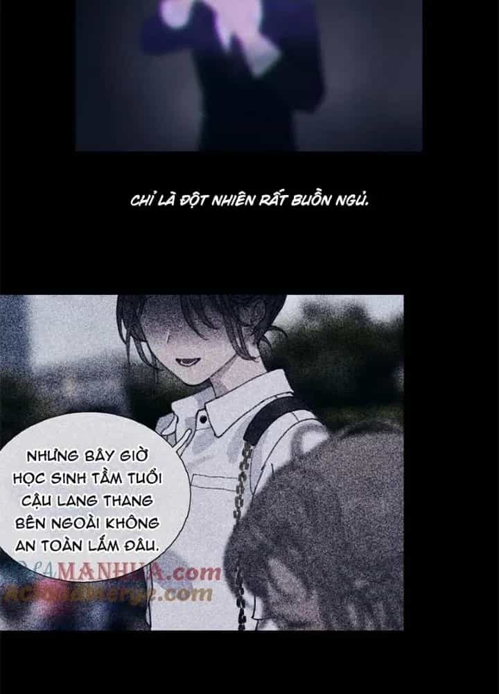 Tơ Nhện - Chương 12 - ảnh 37