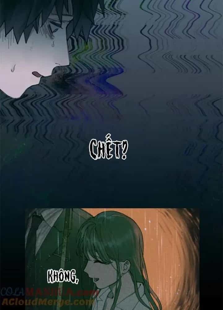 Tơ Nhện - Chương 13 - ảnh 3