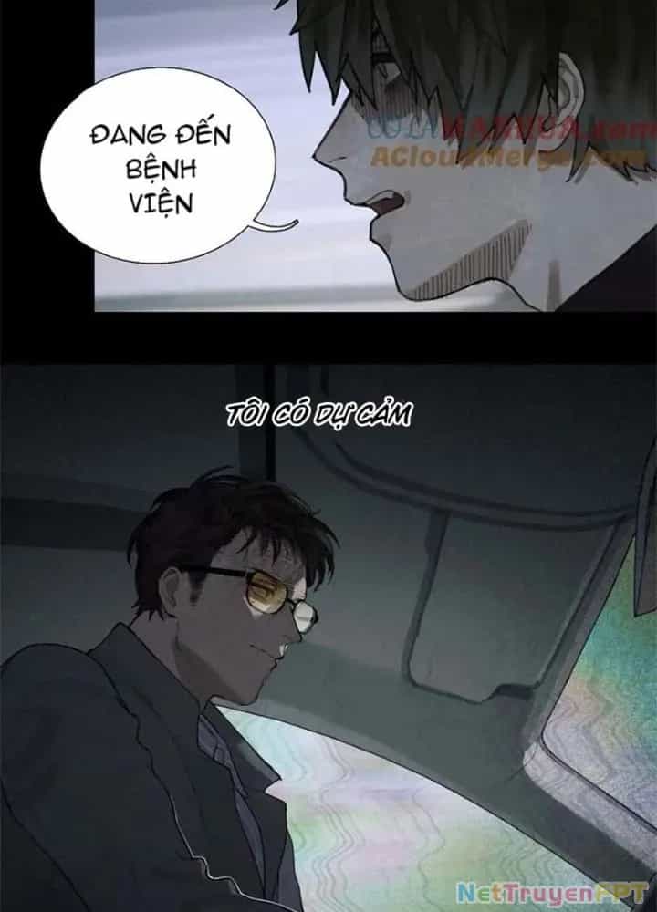 Tơ Nhện - Chương 24 - ảnh 19