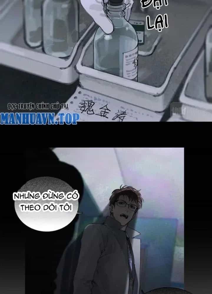 Tơ Nhện - Chương 25 - ảnh 5