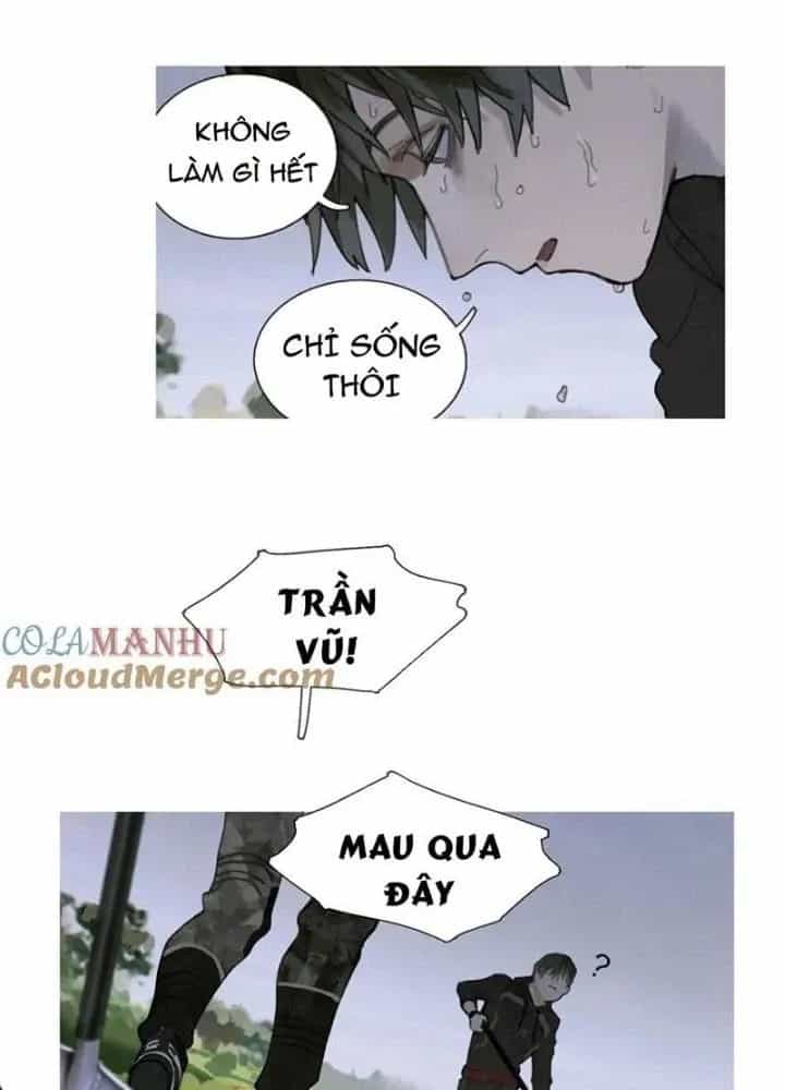 Tơ Nhện - Chương 31 - ảnh 27