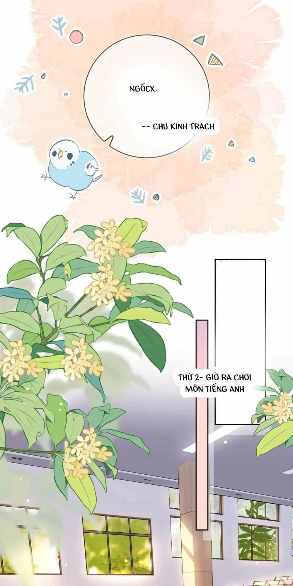 Tỏ Tình - Chương 20 - ảnh 10