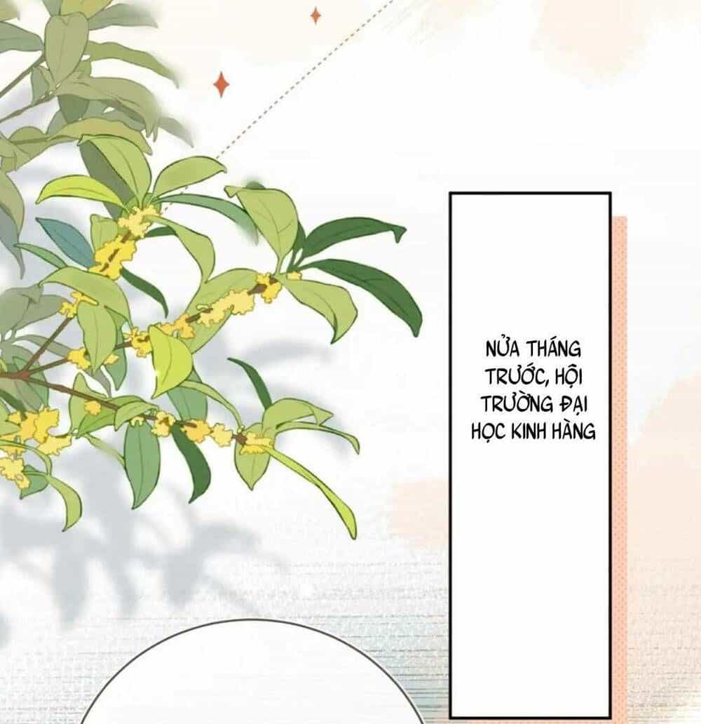 Tỏ Tình - Chương 8 - ảnh 30